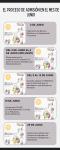 infografía Proceso de Admisión Junio